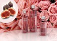 /products/rose-fig4/